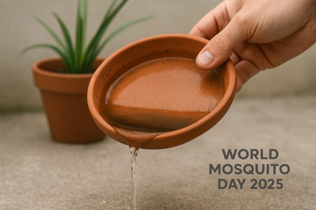 World Mosquito Day 2025 standing water prevention