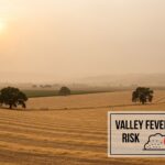 Valley fever California dust risk in Central Valley farmland