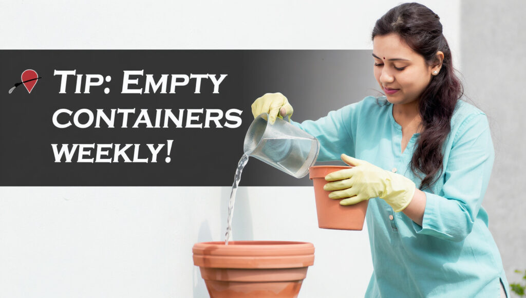 Preventing chikungunya risk in india by removing stagnant water